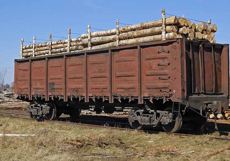 Перевозка ЛЕСА вагонами из Царевщиной в Саратов
