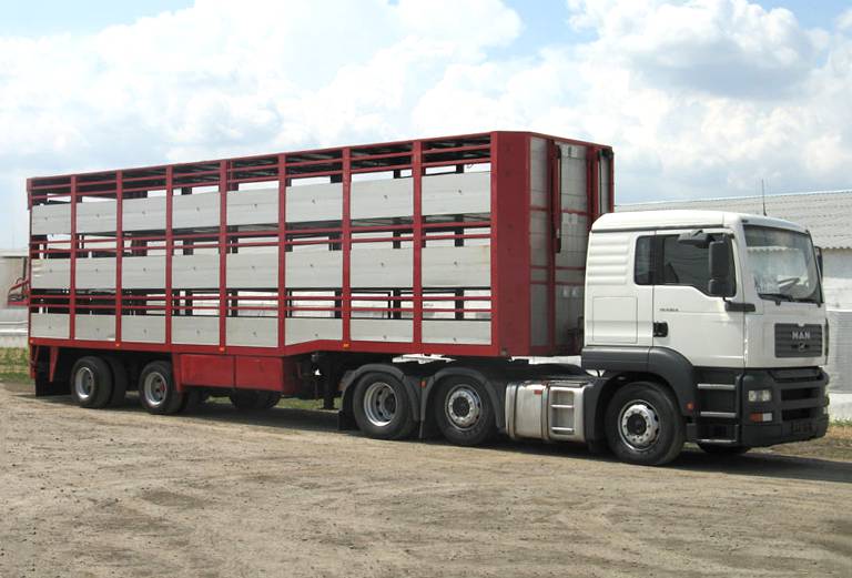 Нанять скотовоз для крупного рогатого скота из Дубны в Кущевскую